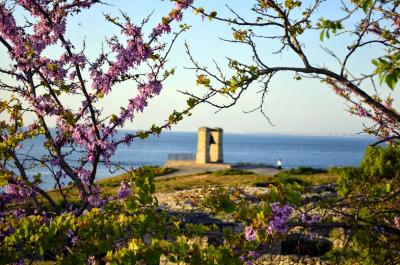 Прикрепленное изображение: _DSC7032.JPG